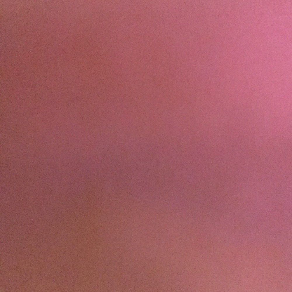 Meet your Posher, Savannah